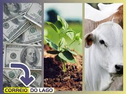 Veja a cotação do dólar e grãos desta terça-feira (27)