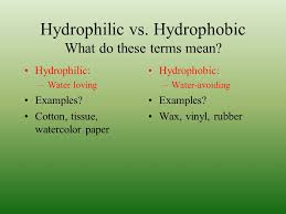 Image result for hydrophilic vs hydrophobic