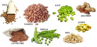 Risultati immagini per legumi