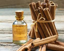 تصویر famous perfumes with cinnamon notes