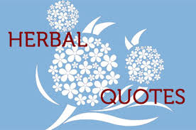 Quotes About Herbs. QuotesGram via Relatably.com
