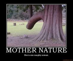 Funny Mother Nature Quotes. QuotesGram via Relatably.com