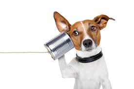 Image result for conversation