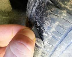 Lien vers le forum de réparation