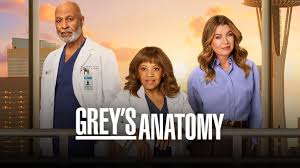 Grey's Anatomy Renewed for Season 23 with Cast Departures