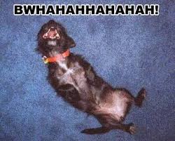 images?q=tbn:ANd9GcR4QeQJHwhXwfW1mDwrIrM