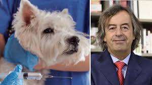 Trend Google: rabbia