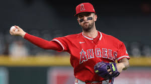 Milwaukee Brewers players during the MLB season