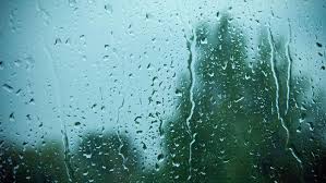 News source: Bonepos.com