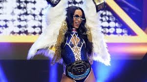 Wrestling Inc. - News update