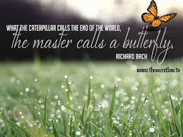 What the caterpillar calls the end of the world, the Master calls ... via Relatably.com