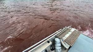 Lac Léman: déversement d'encre rouge, enquête en cours