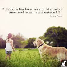 Quotes About Love And Pets. QuotesGram via Relatably.com