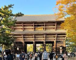 Nara, Japonya resmi