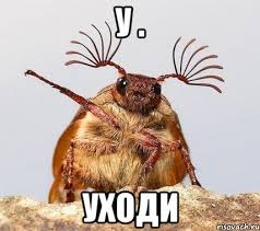 images?q=tbn:ANd9GcR5CVKPI06fvCdS8B69fQ0cmEIUVFrXTccWNXECAI7BG4AJKhCsvg