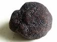 Truffe noire