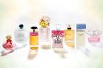 Beauty Products - Perfume Cosmetics Debenhams