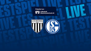 FC Gelsenkirchen-Schalke 04 e.V. - News update