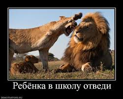 Картинки по запросу гумор в школи