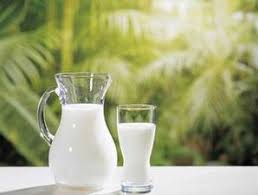 Hasil gambar untuk susu kambing