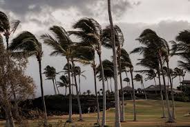 Hawái mantiene alerta por inundaciones ante avance de “Lala”