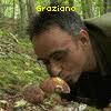 Boletus appendiculatus subsp. pallescens Konrad, Bull. Soc. mycol. - photo-thumb-41