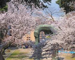 比治山公園の桜の画像