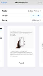 Image result for print preview screen without preview