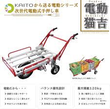 Image result for ねこ吉