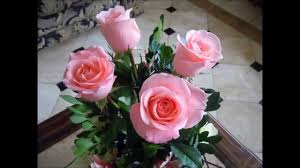 Resultado de imagen para rosas para  regalar  a las mujeres