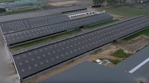 Melkvee.nl - News update