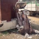 Statue vandalism politics: Periyar Ambedkar
