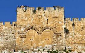 Khi Ch&uacute;a Gi&ecirc;su tiến v&agrave;o Gi&ecirc;rusalem trong Ch&uacute;a Nhật Lễ L&aacute; ...