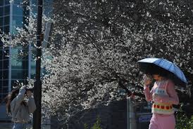 [날씨] 내일 아침 -6도 ‘쌀쌀’…전국 눈·비에 도로 살얼음 주의 |