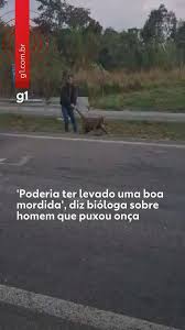 onça-parda