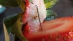 Strawberry needle contamination scare: Woman