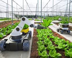 صورة robotics and automation in agriculture
