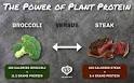 Which Has More Protein: 1Calories of Broccoli, Steak. - Q A s