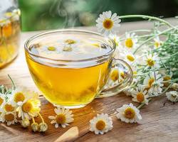Image of Chamomile tea