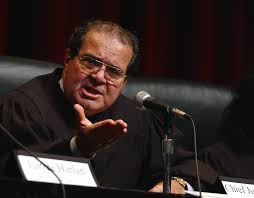 Image result for image of scalia