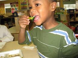 &quot;If he cannot learn the way we teach, we had better teach the way he can learn.&quot; – Robert Buck - childEatingHealthySnack-429x322