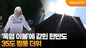 ZUM 뉴스 - News update