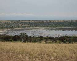 Image of Kasenyi plains, Uganda