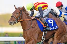 News source: スポーツナビ