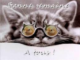 Résultat de recherche d'images pour "bonne semaine"