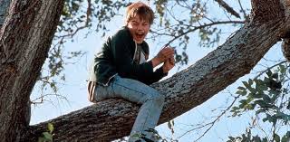 Résultat de recherche d'images pour "gilbert grape"