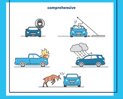 Comprehensive coverage car insurance