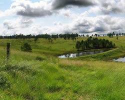 Image of Highveld, Mpumalanga, South Africa