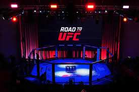 Fight By Fight Preview