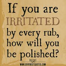 If you are IRRITATED by every rub, how will you be polished ... via Relatably.com